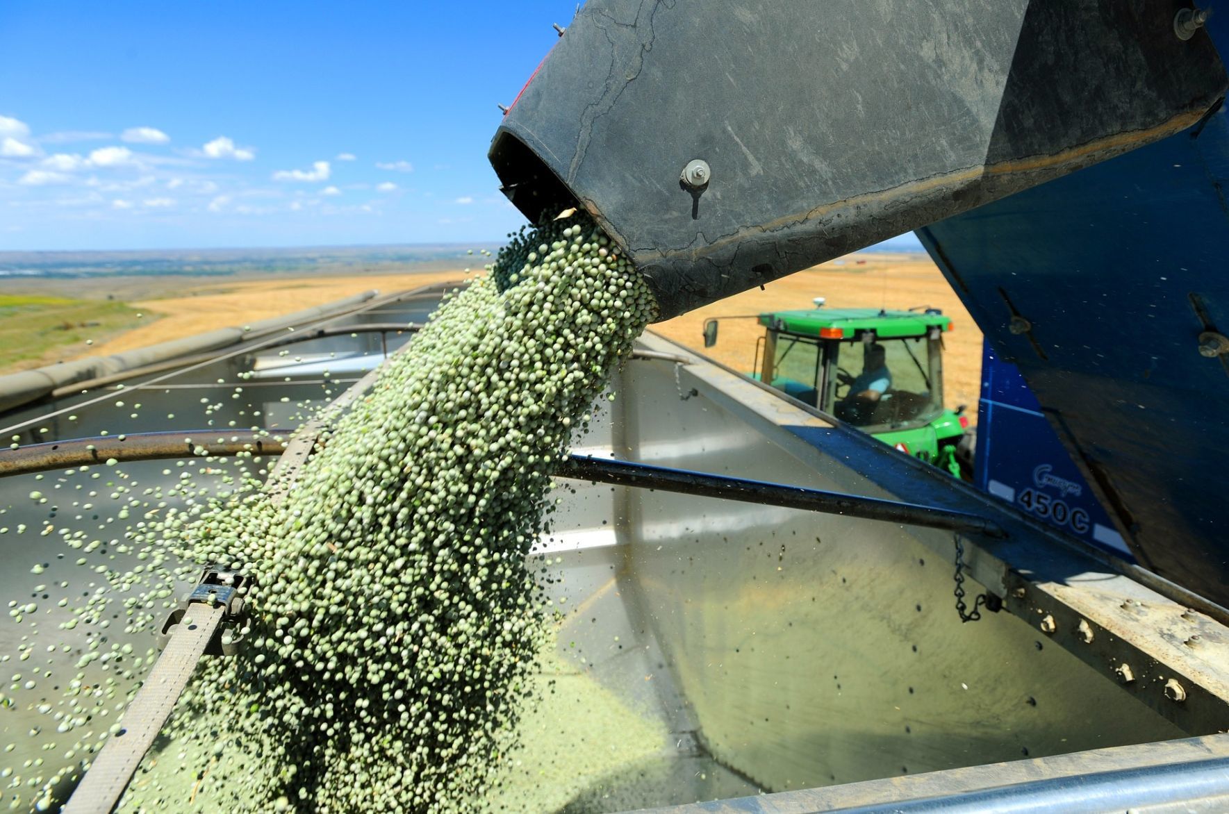 Peas